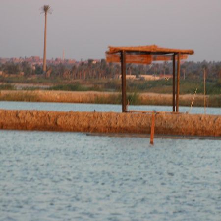Kom El Dikka Agri Lodge ‘Izbat an Nāmūs Zewnętrze zdjęcie